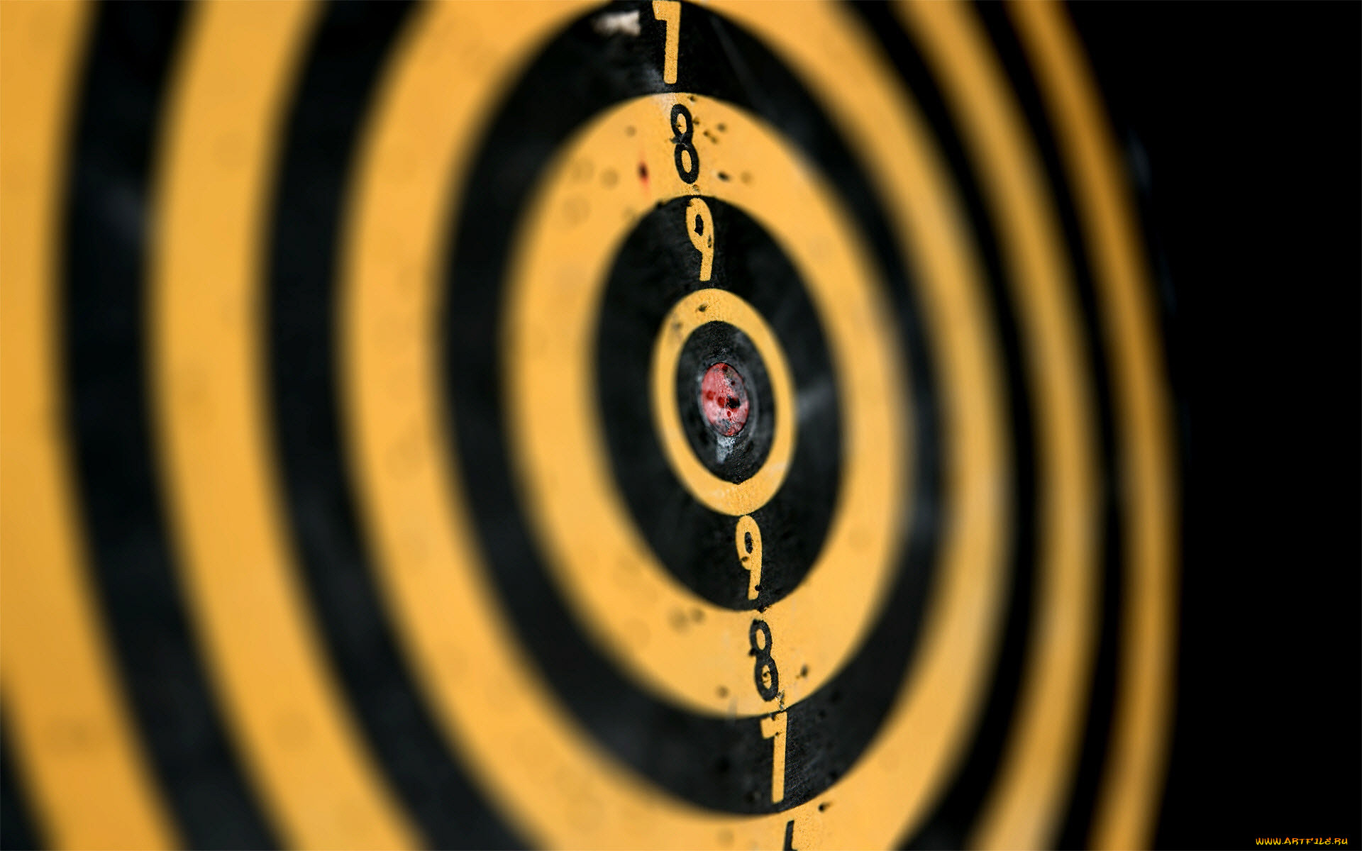 , - , 